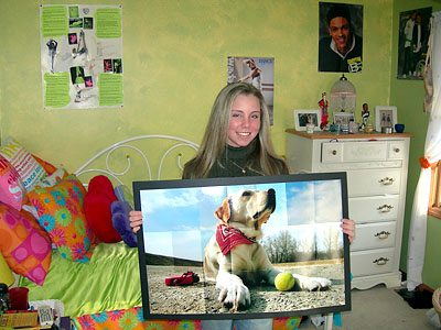 The Beloved Family Pet