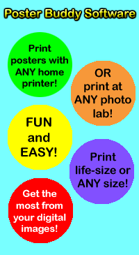 Poster Buddy Features