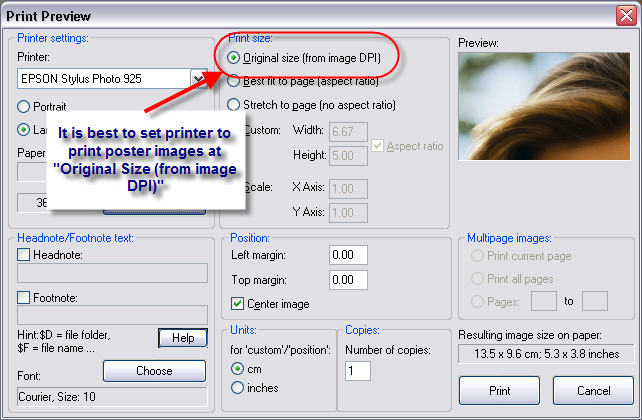 Print preview dialog